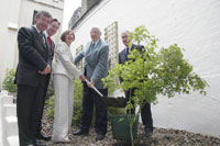 Tree Planting at Merrion Square